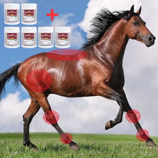 This ad creative displays multiple containers of a horse supplement alongside a photo of a running horse with red circular overlays indicating key joint pain points.